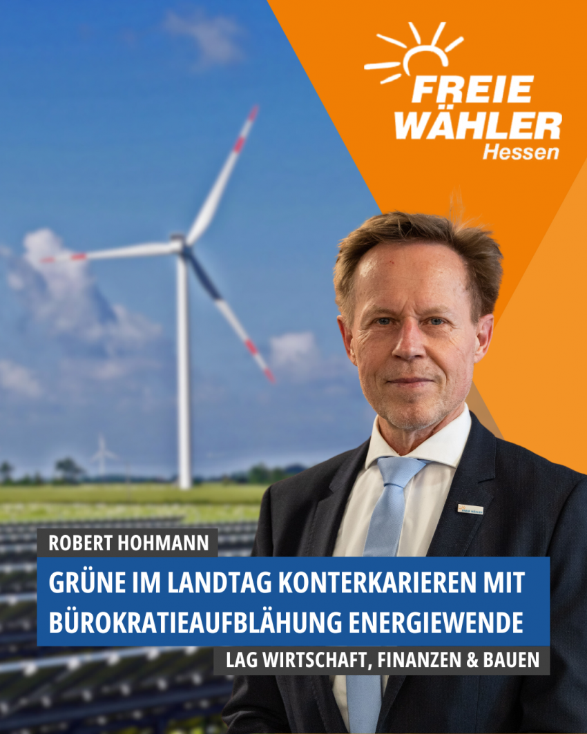 LAG WFB Hohmann